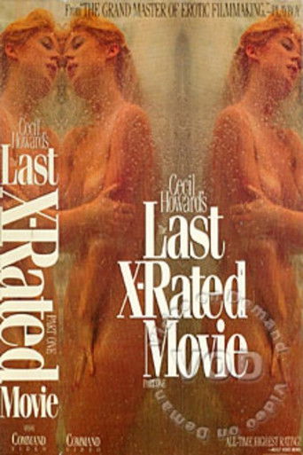 The Last X-rated Movie movie poster