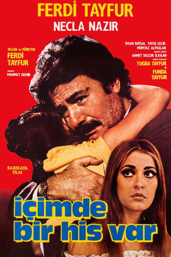 İçimde Bir His Var movie poster