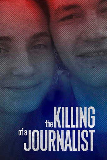The Killing of a Journalist movie poster