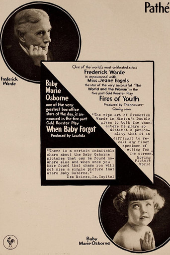 The Fires of Youth movie poster
