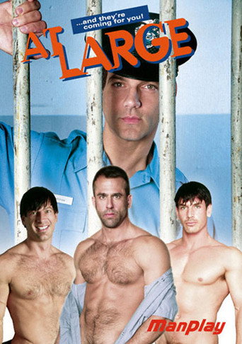 At Large movie poster