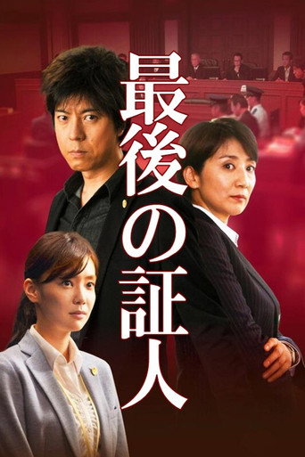The Last Witness movie poster
