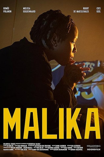 Mally Can Fly movie poster
