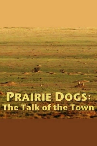 Prairie Dogs: Talk of the Town movie poster