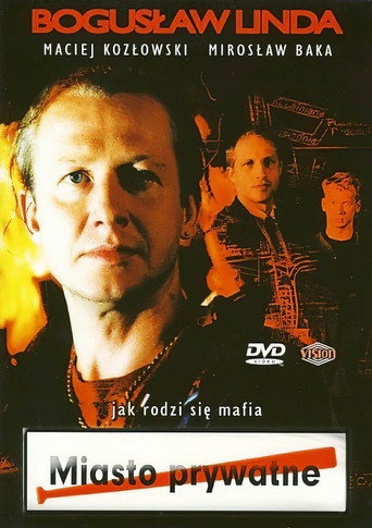 Private Town movie poster