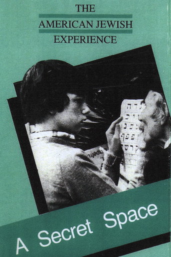 A Secret Space movie poster