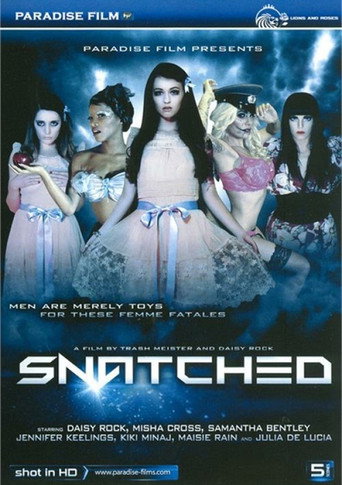 Snatched movie poster
