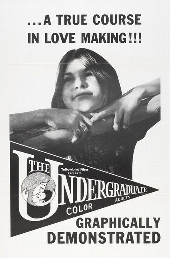 The Undergraduate movie poster