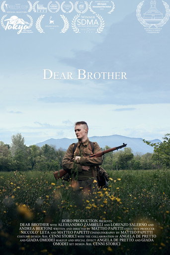 Dear Brother movie poster