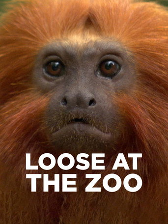 Loose at the Zoo movie poster