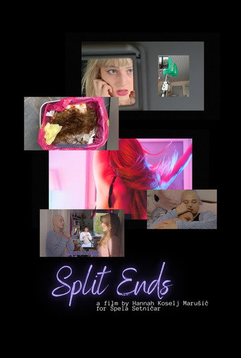 Split Ends movie poster