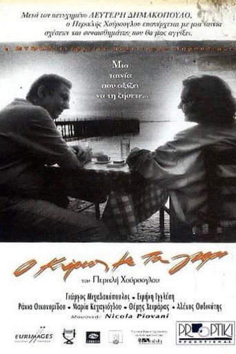 The Man in Grey movie poster