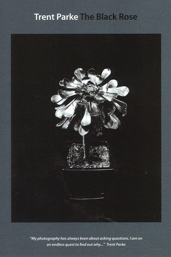 Trent Parke: The Black Rose movie poster