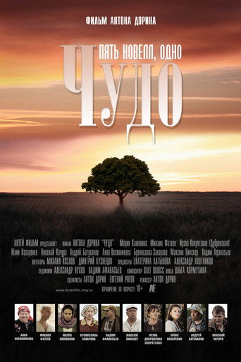 Miracle movie poster