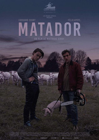 Matador movie poster