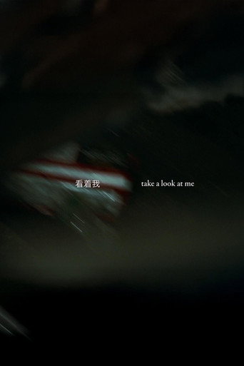 Take a Look at Me movie poster