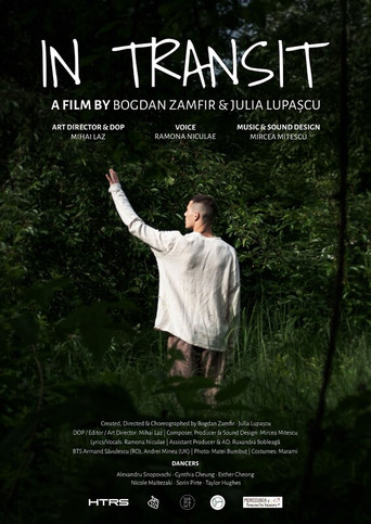 In Transit movie poster