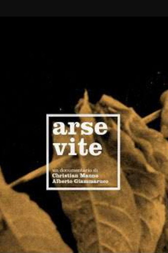 Arse Vite movie poster