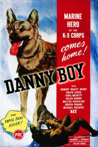 Danny Boy movie poster