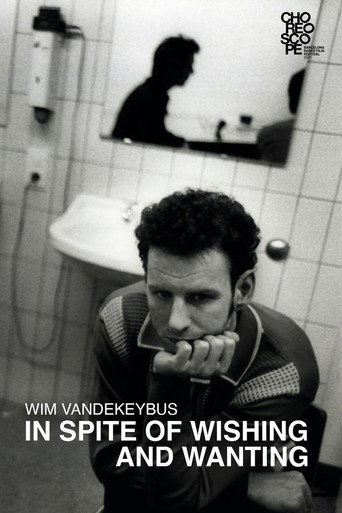 In Spite of Wishing and Wanting movie poster