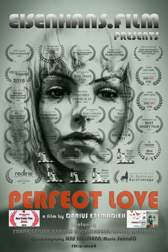 Perfect Love movie poster