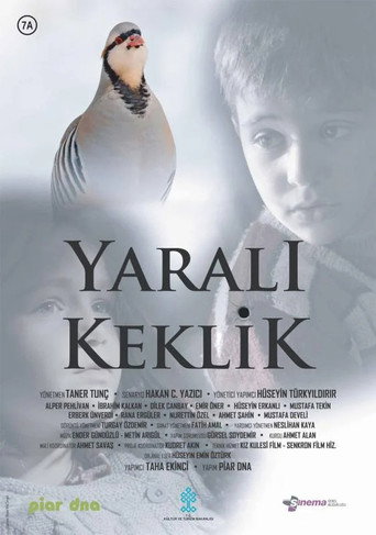 Yaralı Keklik movie poster