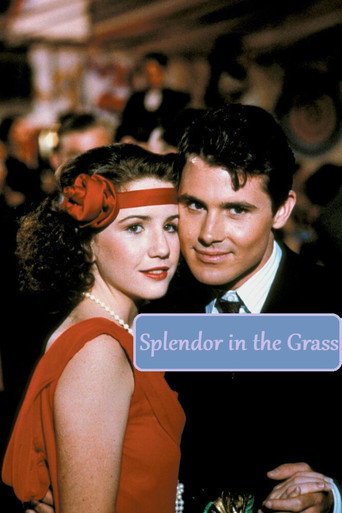 Splendor in the Grass movie poster