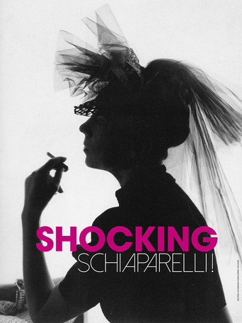 Shocking Schiaparelli! movie poster