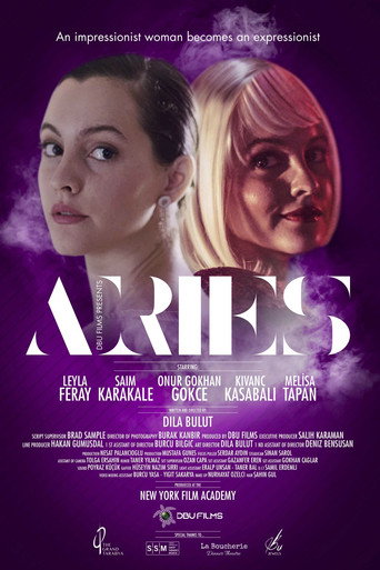 Aries movie poster