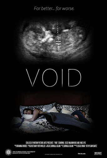 Void movie poster