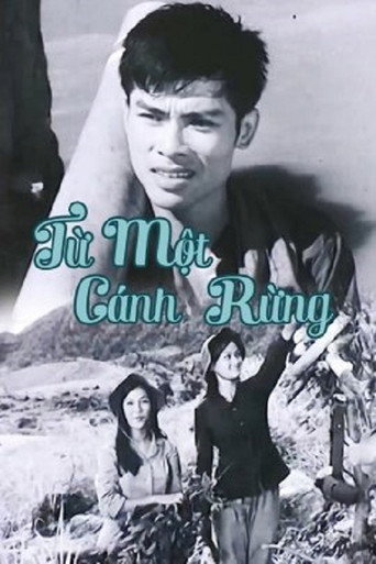 From The Same Forests movie poster