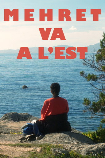Mehret goes East movie poster