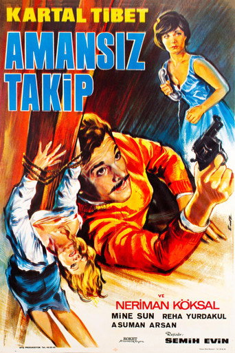 Amansız Takip movie poster
