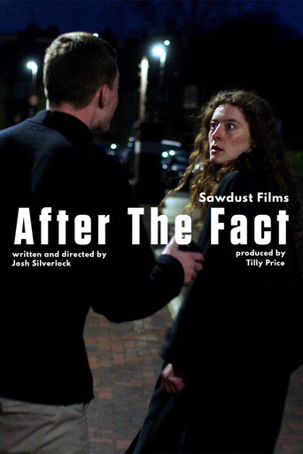 After the Fact movie poster