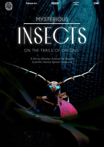 Mysterious Origins of Insects movie poster