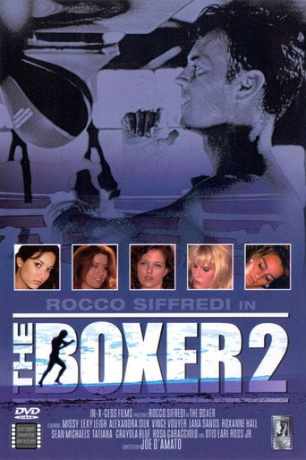 The Boxer 2 movie poster