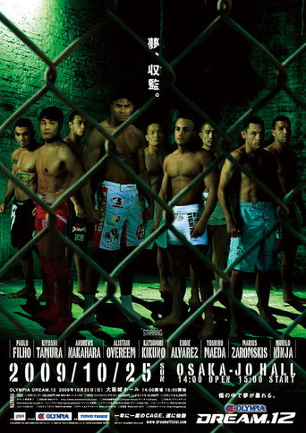 DREAM 12 movie poster