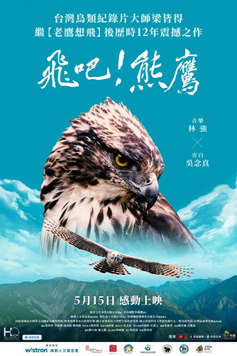 Fly! Mountain Hawk-Eagle movie poster