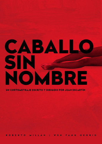 Caballo sin Nombre movie poster