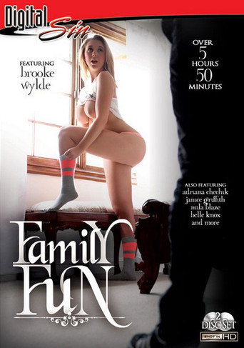 Family Fun movie poster
