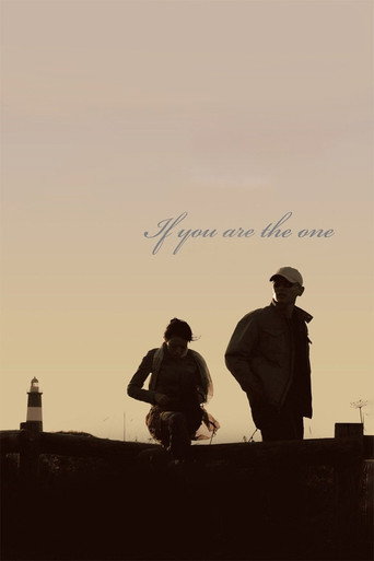 If You Are the One movie poster