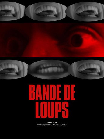 Bande de Loups movie poster