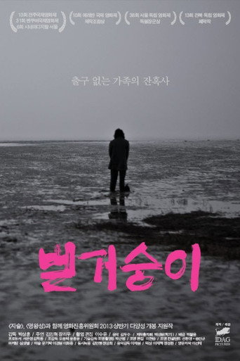 A Mere Life movie poster
