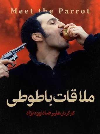 Meeting the Parrot movie poster