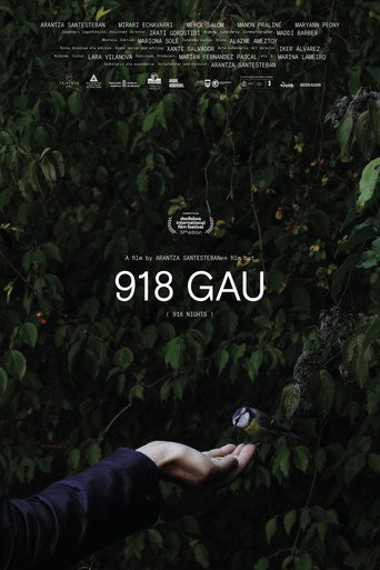 918 Nights movie poster