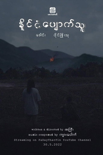 My Lost Nation movie poster