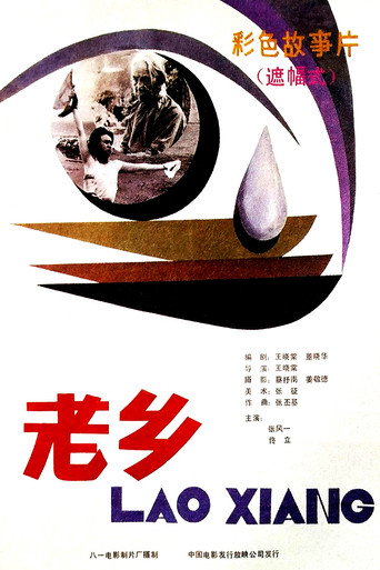 老乡 movie poster