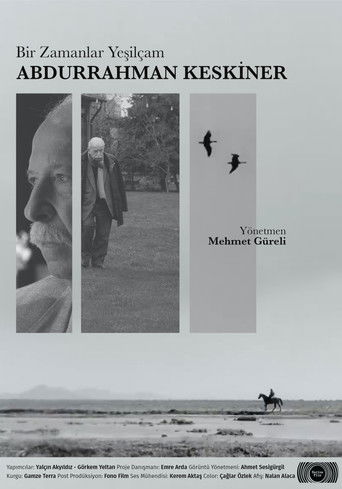 Once Upon a Time Yeşilçam: Abdurrahman Keskiner movie poster