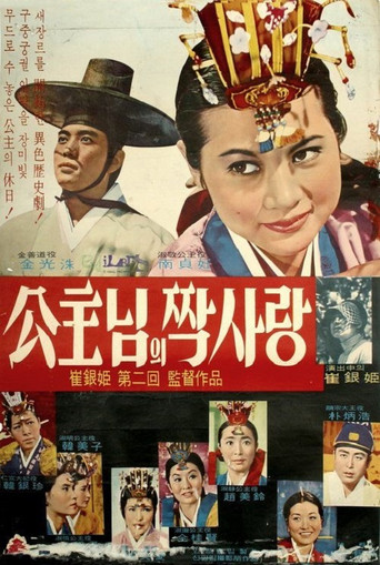 One-sided Love of Princess movie poster