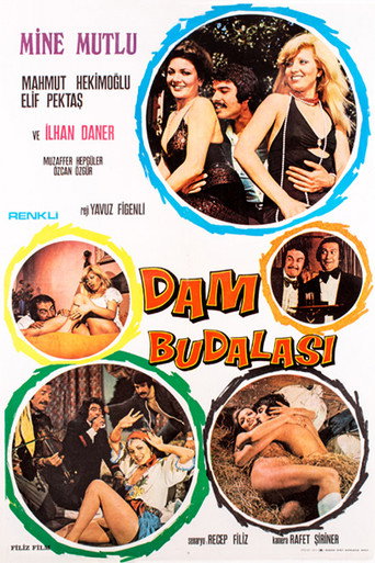 Dam Budalası movie poster